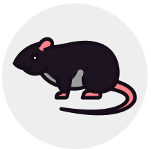 Rodent control